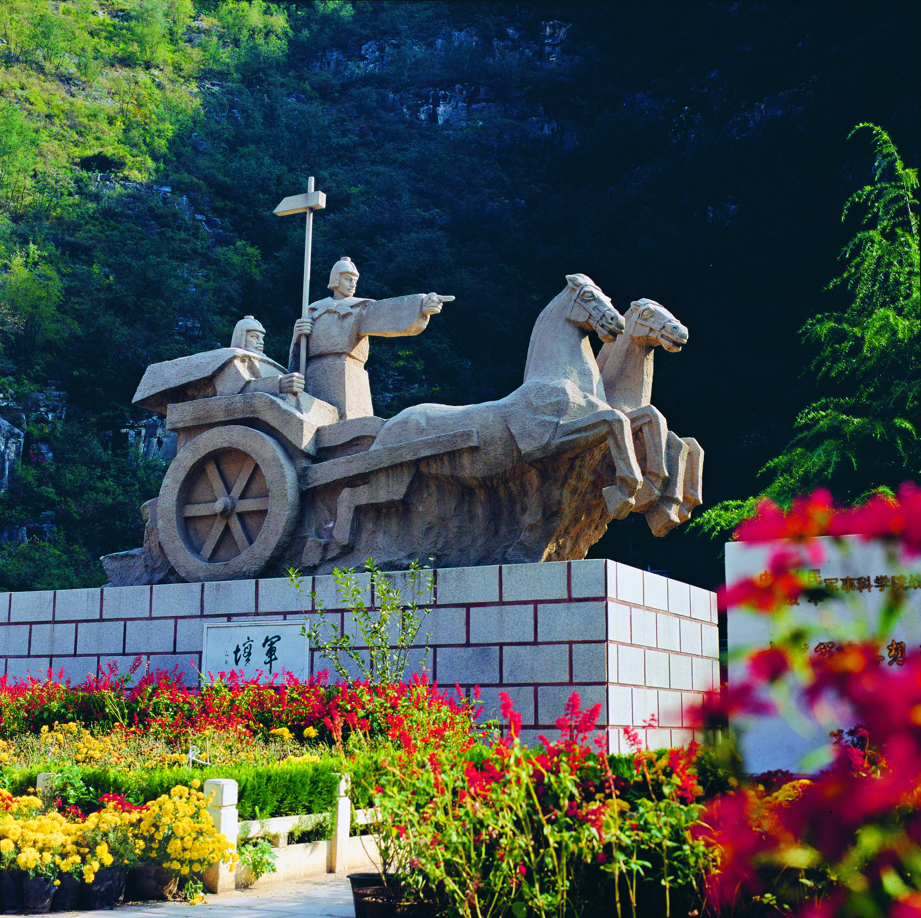 ��̳����